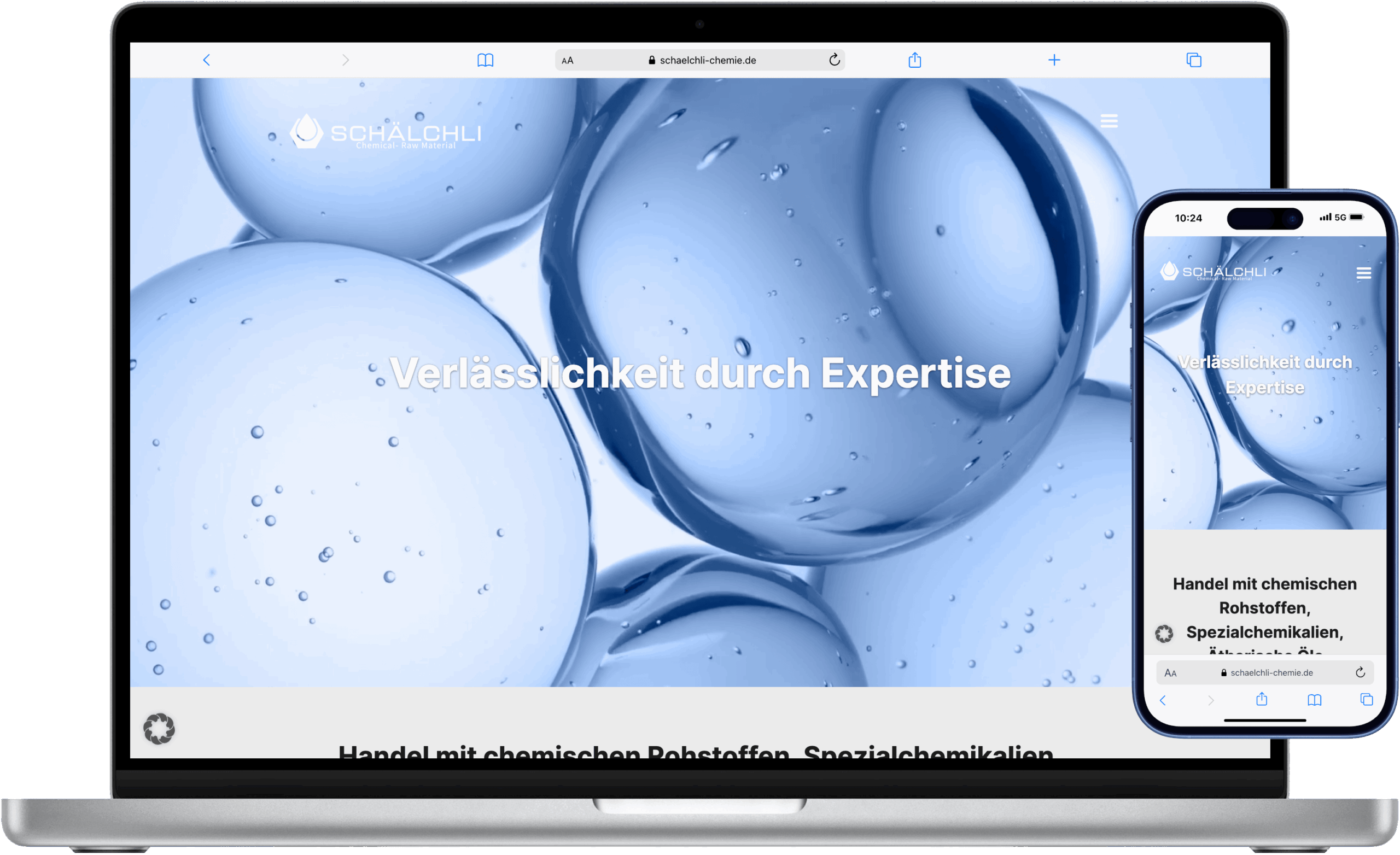 Schälchli Chemie Screenshot Home Referenz