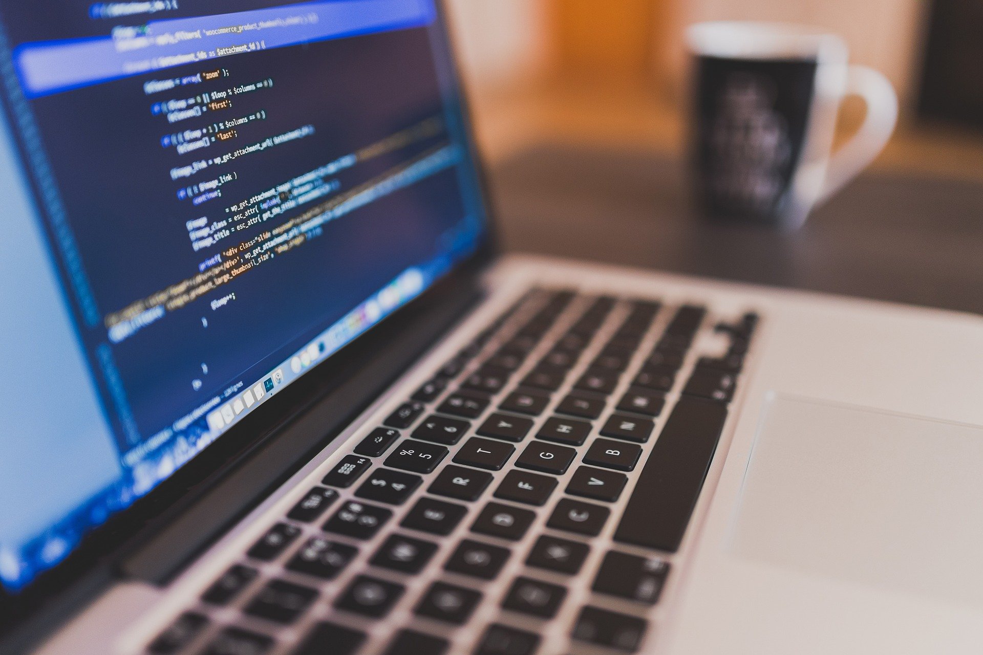 Software Agentur