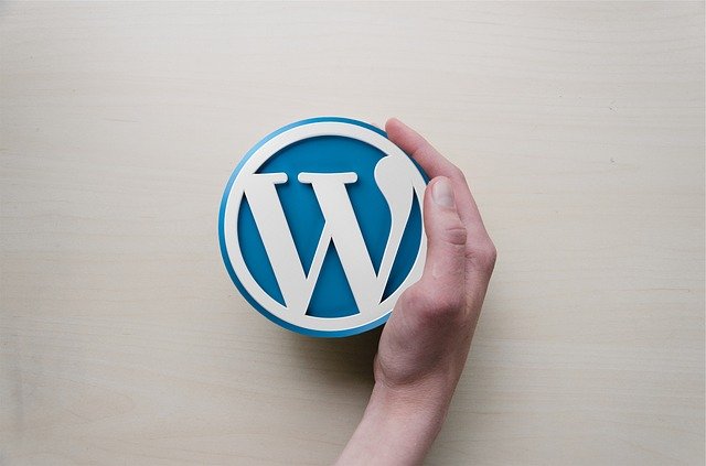 Wordpress Agentur
